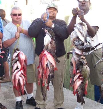 Voyager Deep Sea Fishing & Dolphin Cruises