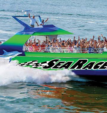 Sea Racer Dolphin Tours